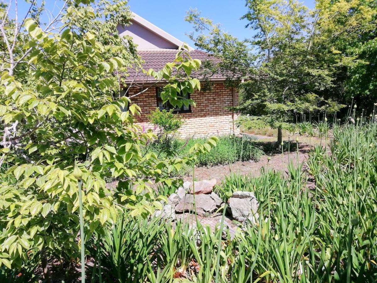The Red Gate Suite For Garden Route Tranquility George Exterior photo